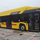 zdjęcie nr 10