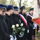 zdjęcie nr 137