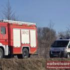 zdjęcie nr 9