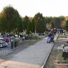 zdjęcie nr 47