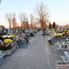 zdjęcie nr 10