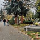 zdjęcie nr 68