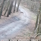 Fotka nr 2 z 4
