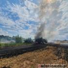 Fotka nr 5 z 12