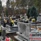 zdjęcie nr 22