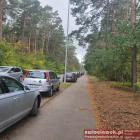 zdjęcie nr 43
