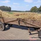 Fotka nr 1 z 29