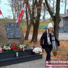 zdjęcie nr 45