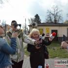 zdjęcie nr 7