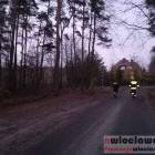 Fotka nr 1 z 5