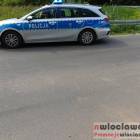 Fotka nr 2 z 4