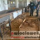 Fotka nr 5 z 7