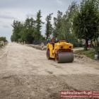 zdjęcie nr 24