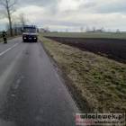 zdjęcie nr 8