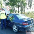Fotka nr 2 z 3