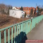 zdjęcie nr 8