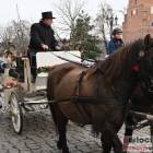 zdjęcie nr 154