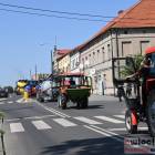 zdjęcie nr 46