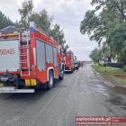 Fotka nr 1 z 2