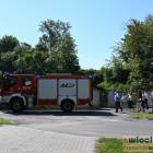 zdjęcie nr 41