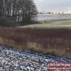 Fotka nr 1 z 11