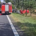 zdjęcie nr 7