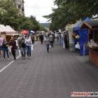 zdjęcie nr 35