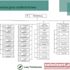 Fotka nr 1 z 9