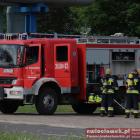 Fotka nr 4 z 15