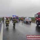 Fotka nr 2 z 4