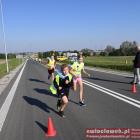 zdjęcie nr 35