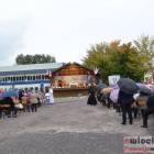 zdjęcie nr 131