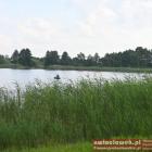 zdjęcie nr 24