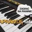 zdjęcie nr 