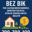 zdjęcie nr 