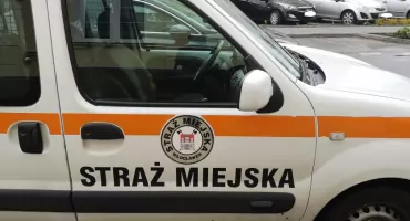 Straż Miejska we Włocławku szuka chętnego do pracy