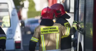 Horror w gospodarstwie! Rolnik z powiatu włocławskiego oskarżony o śmierć 29 krów i głodzenie reszty stada