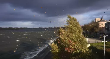 Silny wiatr we Włocławku i powiecie włocławskim. IMGW ostrzega przed porywami