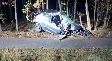 Peugeot wypadł z drogi po potrąceniu lisa. Auto roztrzaskało się na drzewie