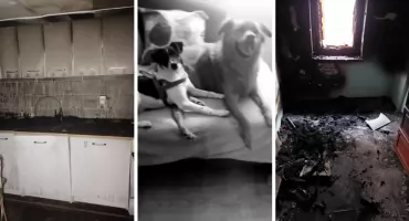 Dramat we Włocławku. Mieszkanka prosi o pomoc po pożarze. Straciła mieszkanie i ukochane zwierzęta