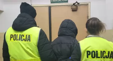 Seria uszkodzeń samochodów we Włocławku. Policja złapała sprawczynię