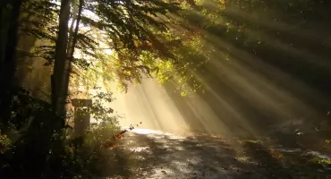 Relaks w sercu Kujaw – gdzie znaleźć idealny hotel ze strefą SPA