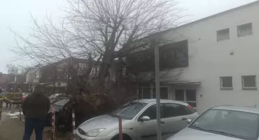 Drzewo runęło na auta na Przedmiejskiej. Interweniowała straż