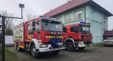 Atak byków w regionie. Państwowa Inspekcja Pracy opisuje zdarzenie