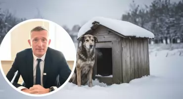 Apel Dody o prawa zwierząt krąży w sieci. Wsparcie także z powiatu włocławskiego