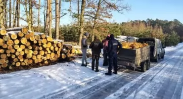 Straż Leśna i policja razem w terenie. Chodzi o drewno, śmieci i porządek