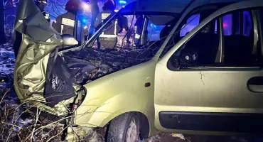 Niebezpieczne zderzenie z dzikiem w regionie. Auto wypadło z drogi