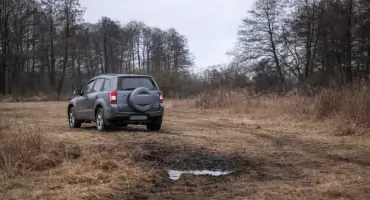 Potrącił psa i odjechał. Mieszkanka Włocławka prosi o pomoc