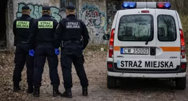 Niecodzienna interwencja we Włocławku. Puszki sprayu, drabina i wycięte drzewa