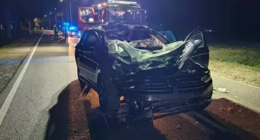 Zderzenie z łosiem pod Włocławkiem. 37-latek ciężko ranny